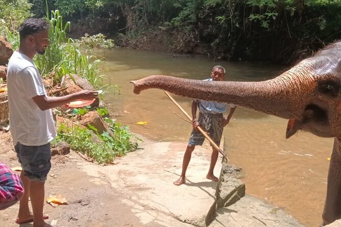 7 days Sri Lanka | 4 star hotels with BB | Private tour - A 7-day Sri Lanka route that balances culture and wildlife