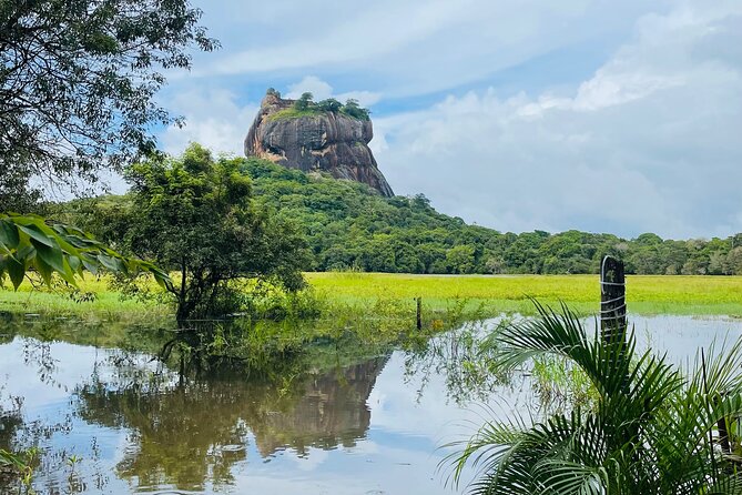 7 Days Sri Lanka Safari Tour - How the private “safari + culture” formula feels in real life