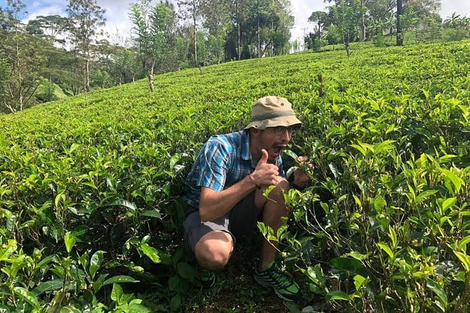 7 Days Sri Lanka Tour Chauffeur Wildlife and Heritage Adventure - Ella Viewpoints, Nine Arches Bridge, and Yala Wildlife Time (Day 5)