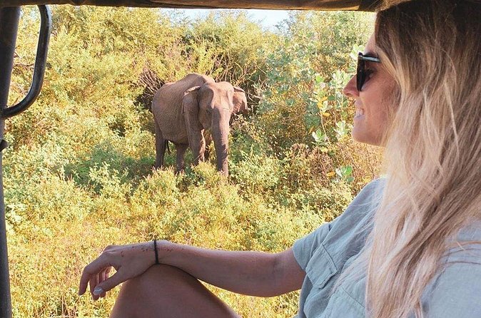 7 Days Tour in Sri Lanka Hotels with Breakfast and Luxury Car - Day 2: Sigiriya and Polonnaruwa, then elephants on the Minneriya/Kaudulla plains