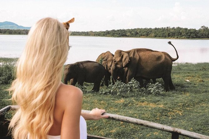 7 Nights Private Tour Of Sri Lanka - Day 4: Kandy viewpoint and Peradeniya gardens, then waterfalls and tea in Nuwara Eliya