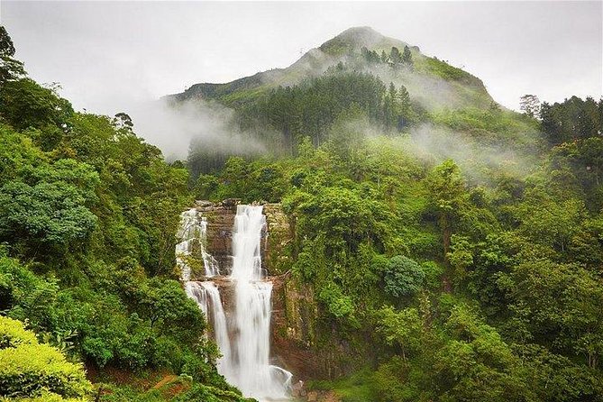 7 Nights Private Tour Of Sri Lanka - Day 7: Madu River mangroves and Kosgoda sea turtles, then Colombo by evening