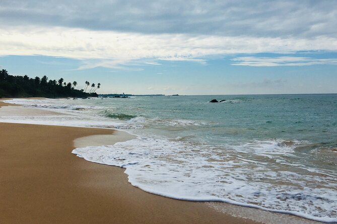 8 Day Private Sri Lanka Tour with Chauffeur - The Chauffeur Experience: Comfort, Flexibility, and Friendly Local Answers