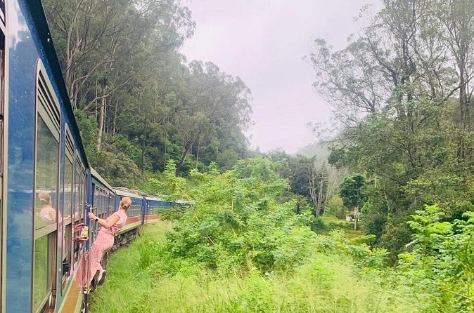 8 Day Private Sri Lanka Tour with Chauffeur - Should You Book This 8-Day Private Sri Lanka Tour?