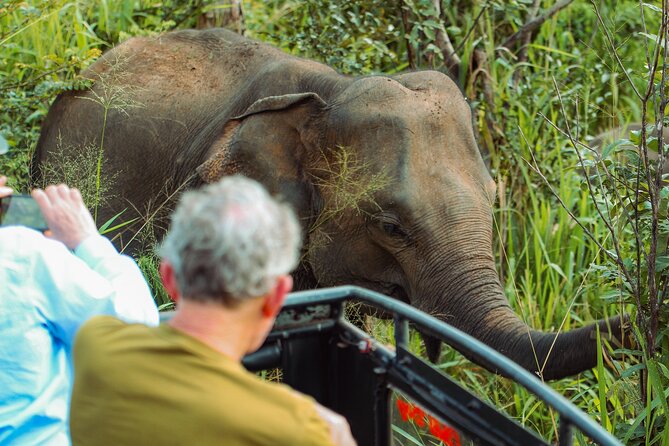 8 Day Private Sri Lanka Tour with Chauffeur - Day-by-Day: How the Route Flows (and Where It Can Feel Tight)