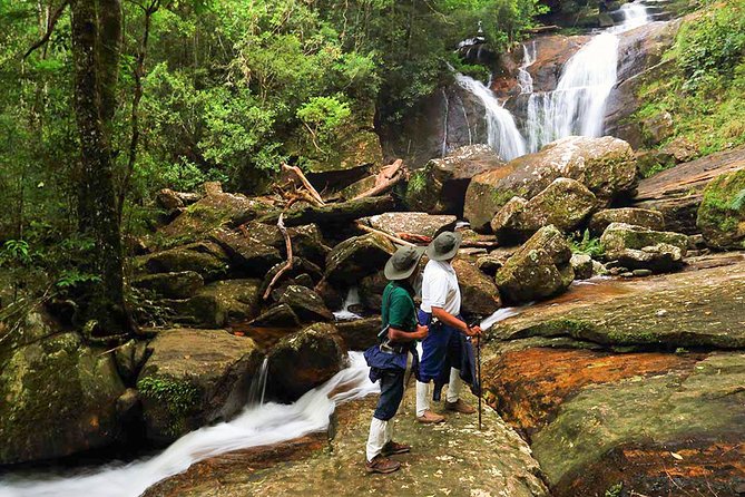 8 Day Private Tour Sri Lanka with Wildlife & Outdoor Experiences from Colombo - Horton Plains to World’s End: Where the Weather Writes the Script