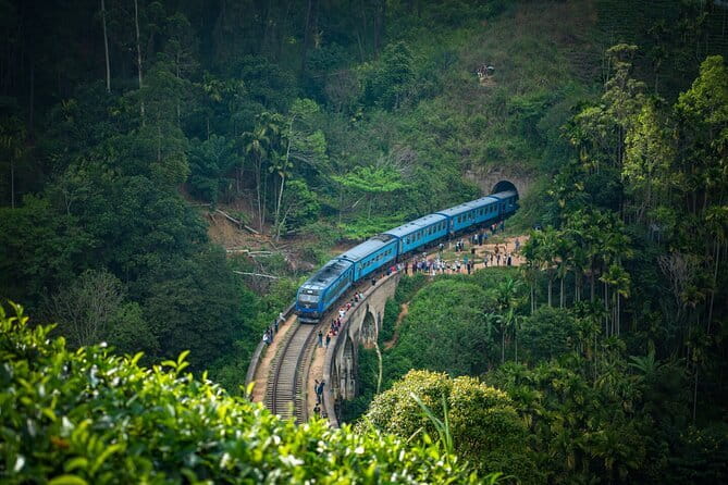 8 Days/ 7 Nights - Sri Lanka’s Culture Wildlife and Beaches - Day 3: Wasgamuwa National Park wildlife chances and Kandy’s Sacred Tooth Relic