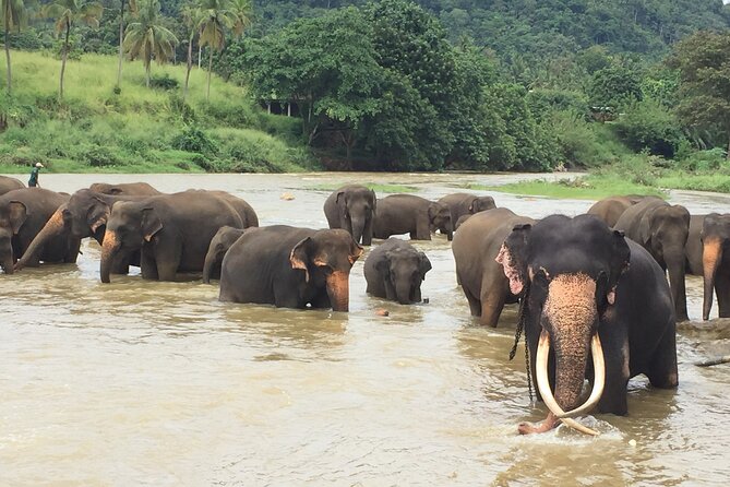 8 Days Adventure Tour with Chauffeur and Air-condition Vehicle - The chauffeur guide factor: English, timing, and flexibility