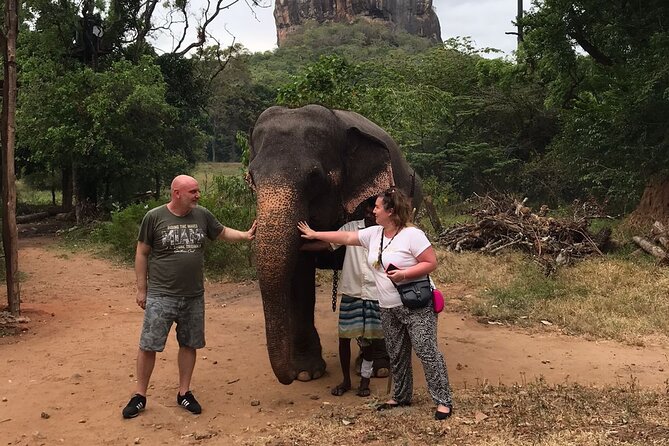 8 Days Private Guided Tour in Sri Lanka with accommodation (BB) - Sigiriya Rock Fortress and Lion Rock: The Climb You’ll Remember