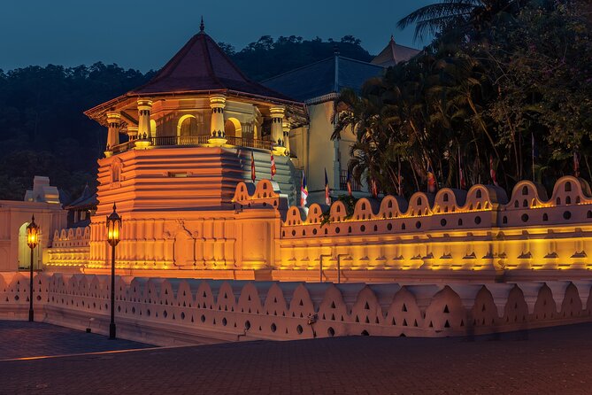 8 Nights 09 Days Simply Sri Lanka - Yala wildlife safari: leopards, elephants, crocodiles, and bird-filled lagoons