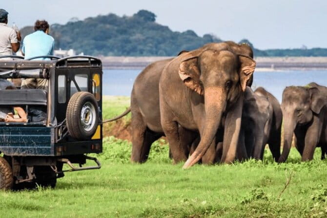 9 Days Guided Tour Through Sri Lanka - Day 3: Sigiriya Lion Rock, Hiriwadunna village life, and Polonnaruwa ruins