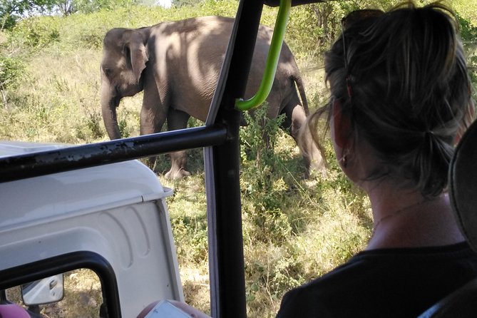 A Udawalawa Park safari, Tour from Colombo/Galle- (All inclusive) - Key highlights to know before you go