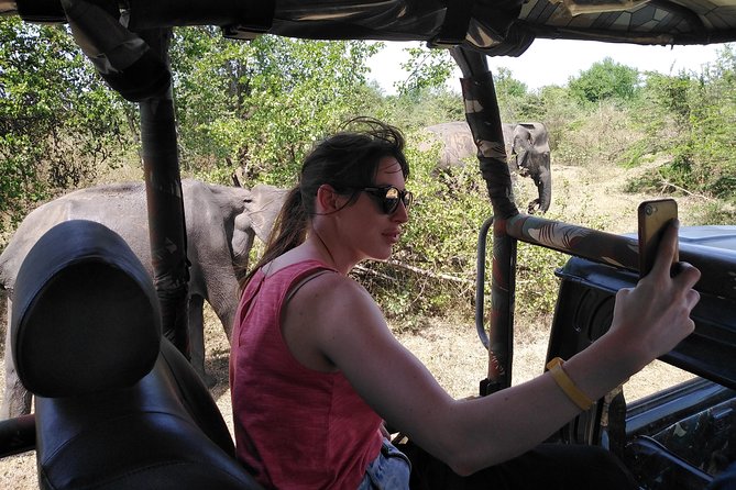 A Udawalawa Park safari, Tour from Colombo/Galle- (All inclusive) - A tank-and-mountain scenery stop before the park