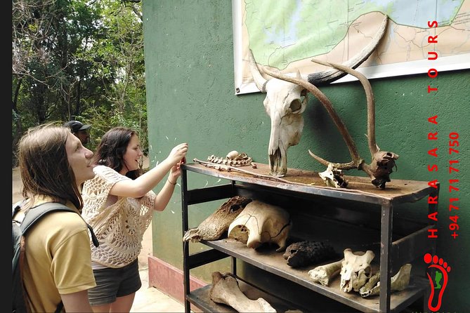 A Udawalawa Park safari, Tour from Colombo/Galle- (All inclusive) - The private 4WD safari: what to watch for in real time