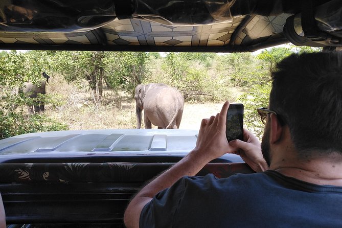 A Udawalawa Park safari, Tour from Colombo/Galle- (All inclusive) - Who this tour is best for (and who should consider alternatives)