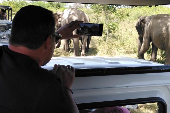 A Udawalawa Park safari, Tour from Colombo/Galle- (All inclusive) - Getting there from Colombo: a 7:00 am start and a long travel day