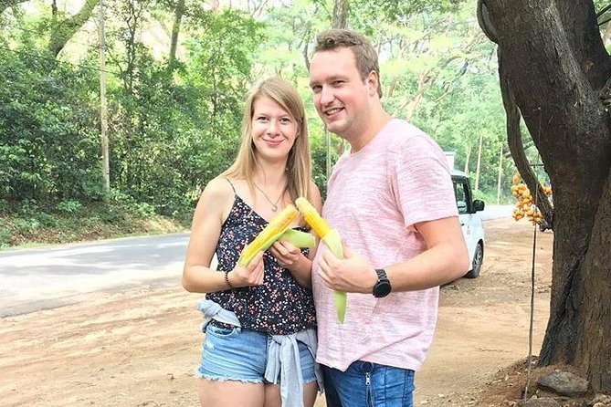 Air port Pick up and Drop to Kandy - Flexibility on the Way: Tea, Snacks, and Smart Stop Requests