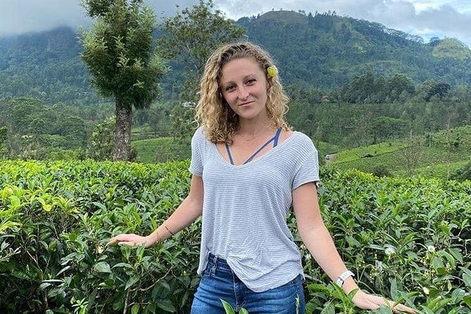 Air port Pick up and Drop to Kandy - Practical Tips for a Smooth Pickup in Kandy