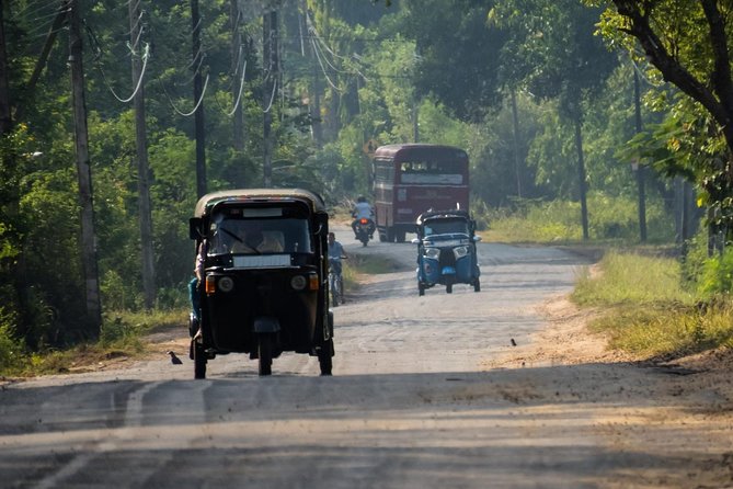 Airport Layover Colombo City tour - Why Colombo Works for a Layover City Tour