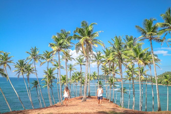 Airport Taxi Transfers from Colombo Airport to Mirissa - Key Highlights You’ll Feel Immediately
