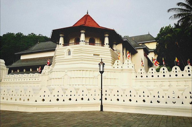 All in one Sri lanka 7nights 8 days for couple price - The Big Picture: A Route Built for Seeing More Without Feeling Rushed