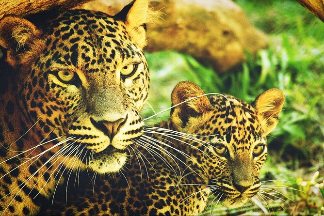 All in one Sri lanka 7nights 8 days for couple price - Nuwara Eliya: Cooler Air and a Different Kind of Sri Lanka