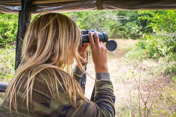 All Inclusive Leopard Nest Treehouse Safari in Yala - Is this a private tour? What it means for your group