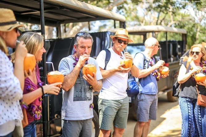 All Inclusive Overnight Tented Camping in Yala From Colombo - Tents with real comfort: hot water, Wi‑Fi, and small upgrades