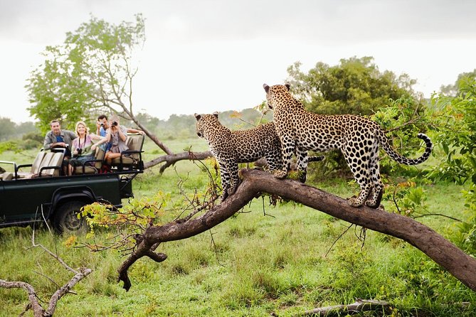 All Inclusive Overnight Tented Camping in Yala From Colombo - Should you book this Yala overnight tented camping trip?