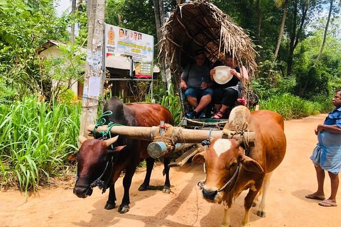 All inclusive Private Day tour Sigiriya, Dambulla & traditional village tour - Price and All-Inclusive Value: What $98 Really Means