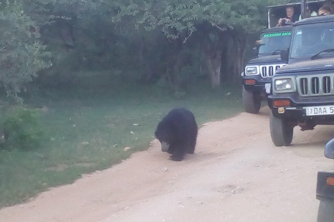 All inclusive Private jeep safari at Yala National park - Key things I’d pay attention to before you go