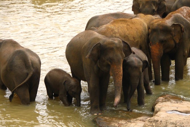 All inclusive Private jeep safari at Yala National park - Sithulpawwa Rock Temple: a short cultural break with big age