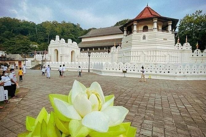All-Inclusive Private tour in Sri Lankan Island 9 Day HB hotels - Millennium Elephants and Golden Dambulla Cave Temple