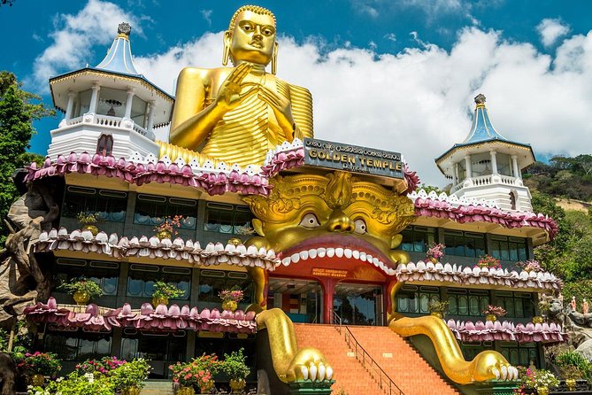 All Inclusive Sigiriya & Dambulla Day Tour from Colombo & Negombo - Service Style: What the Best Reviews Signal About Your Day