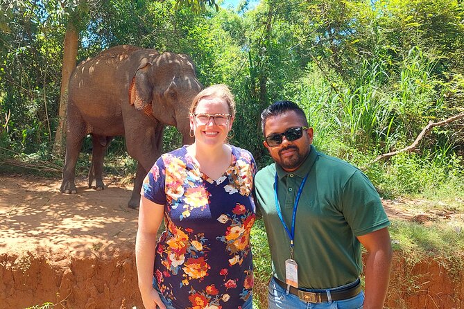 All Inclusive Udawalawe National Park Safari Day Tour from Colombo and Negombo - Price and Value: Is $335 Reasonable for a Private Elephant Day?