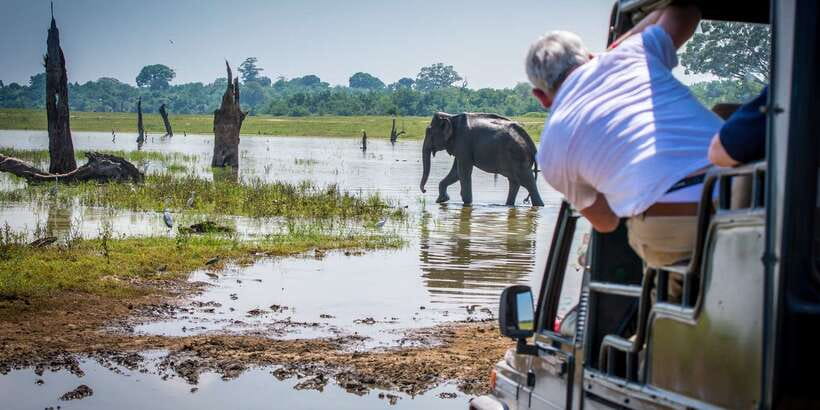 All inclussive Udawalawa National Park Safari From Colombo - Comfort tips that actually help on safari day