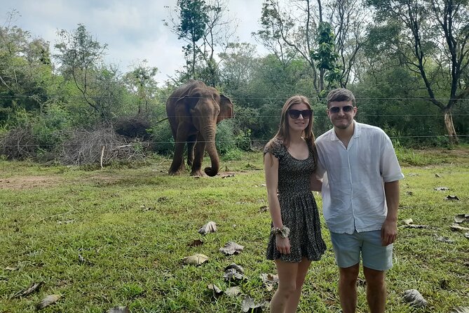 All of Sri Lanka within 10 Days - Anuradhapura: sacred Bodhi tree time and the ancient-city rhythm