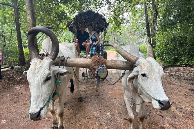 All of Sri Lanka within 10 Days - Minneriya safari plus Hiriwadunna village life, then Polonnaruwa’s stone Buddhas