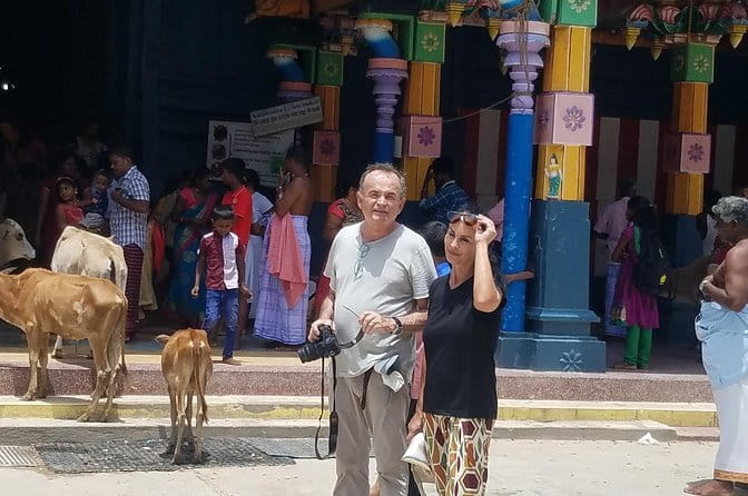 Around Sri Lanka Tours - Key highlights you’ll feel right away