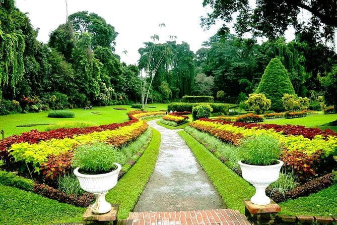 Around Sri Lanka Tours - Dambulla temple + spice garden stop (Day 4)