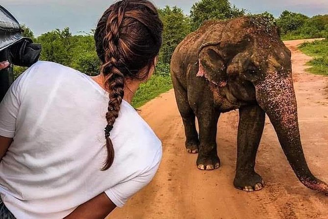 Best Of Sri lanka Tour (06 Days 05 Nights) - Kandy- N.Eliya -Bentota-Colombo - Key highlights you’ll actually feel during this trip