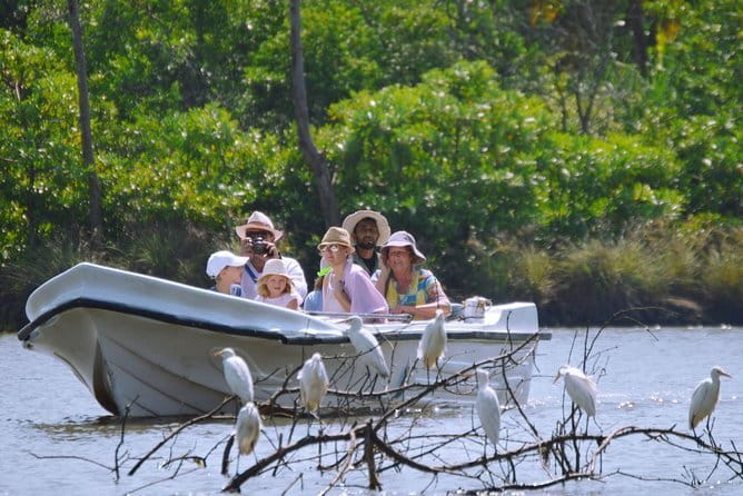 Bird Watching Tour Sri Lanka - 10 Days - Kithulgala and Sinharaja: the endemic-bird payoff