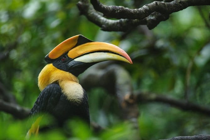 Bird Watching Tour Sri Lanka - 10 Days - Wrap-up back in Negombo and out through Colombo