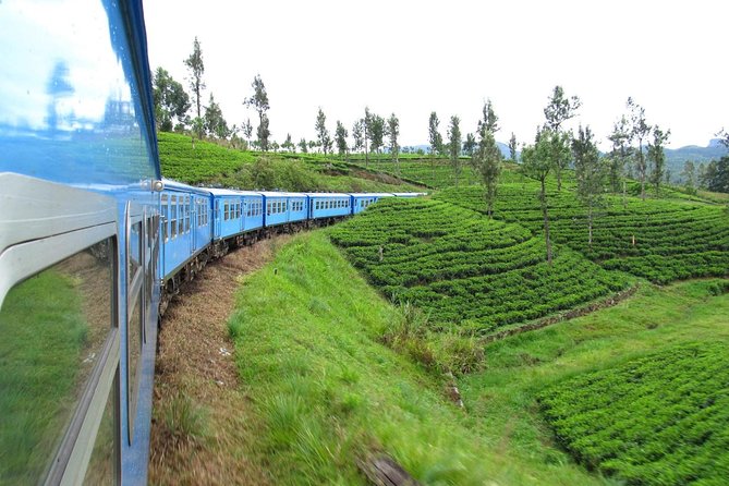 Cars with a Driver for 07 Days Tour - Day 3: Kandy’s Temple of the Tooth and the move to tea country