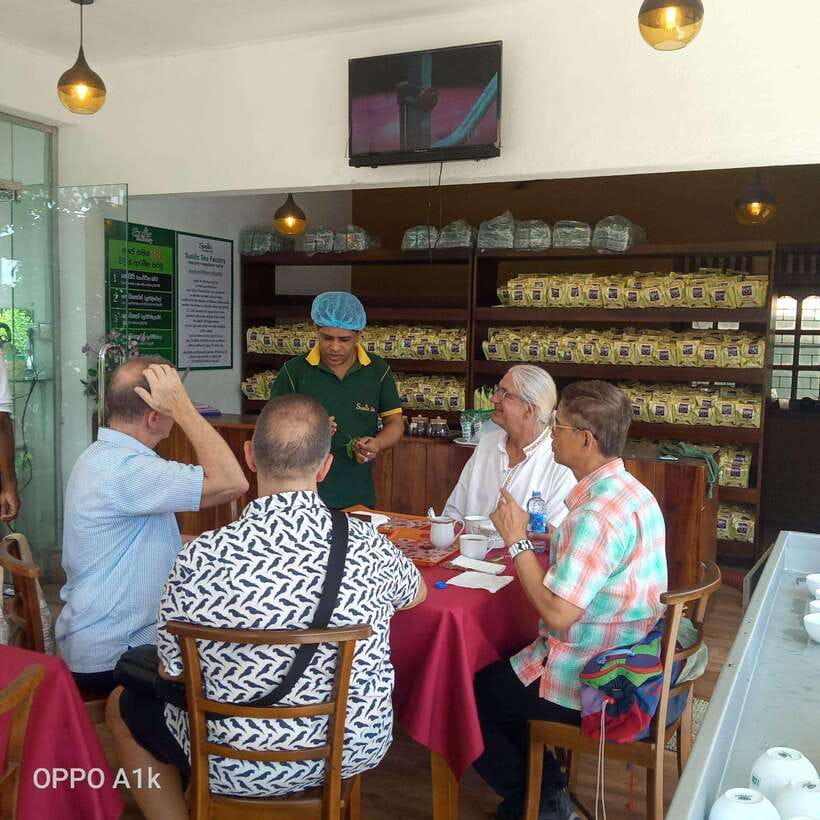 Ceylon Tea Experience from Colombo Port Passenger Terminal - Should you book this tour?