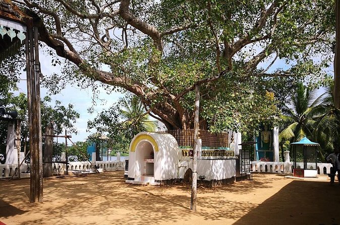 Coastal Ride to Galle from Colombo Seaport - Hikkaduwa Beach Break: Easy Coastal Time Without Overplanning
