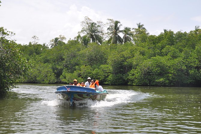 Coastal Ride to Galle from Colombo Seaport - Price and Value: Why $110 Can Be Fair for a Port Day