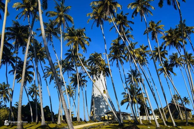 Colombo City Tour By Tuk Tuk (Include Lunch)Morning & Evening - Should you book this Colombo tuk tuk tour?