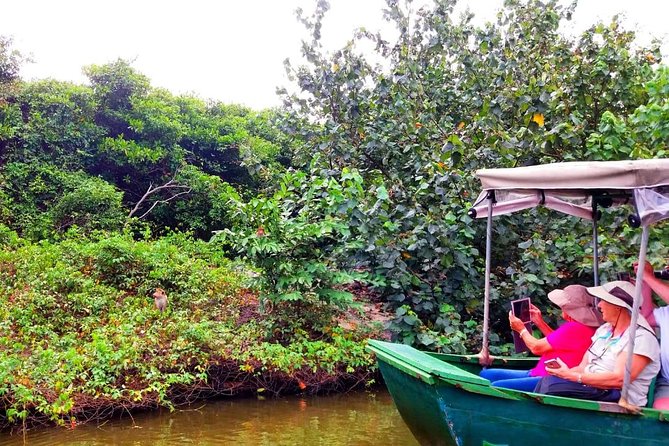 Colombo City Tour (small group with pickup from Cruise ship) - Who Should Book This Colombo City Tour, and Who Might Not