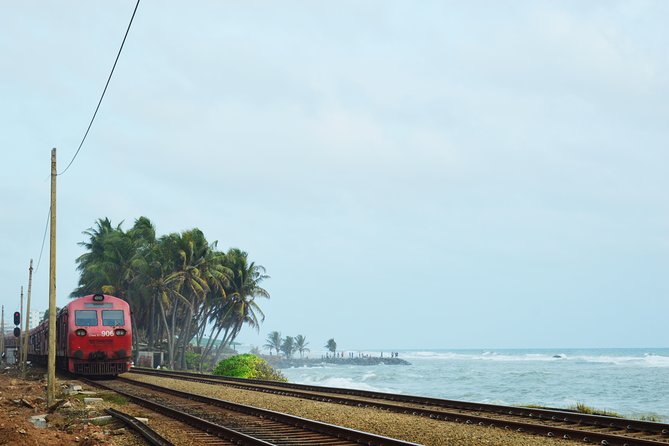 Colombo City Tour with Private Driver - Seema Malakaya and Gangaramaya: two lake-anchored spiritual stops